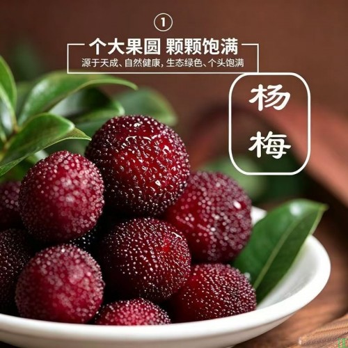 杨梅福建新鲜当季孕妇精品荸荠慈溪杨梅鲜果整箱云南杨梅