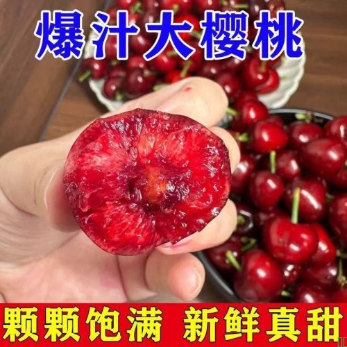 【大降价】正宗山东大樱桃当季国产车厘子孕妇脆甜水果超甜特级果
