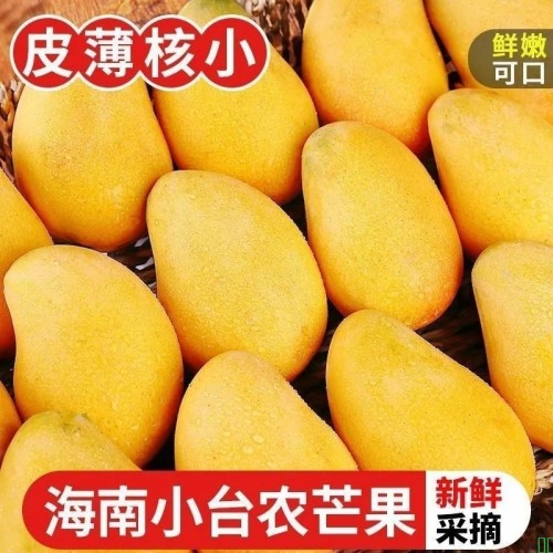 【彩箱】正宗海南小台农芒果4.2斤微花皮新鲜当季热带水果鸡蛋芒