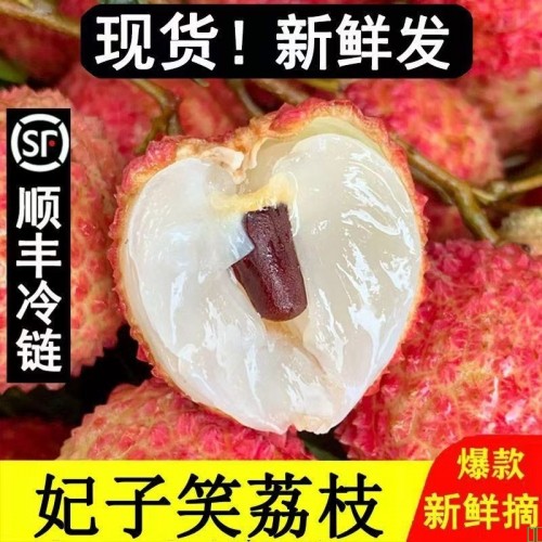 海南妃子笑茂名高州白糖罂荔枝新鲜水果当季顺丰包邮桂味荔枝