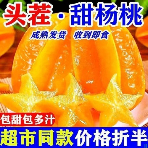 【现摘现发】树上熟甜杨桃水果杨桃新鲜批发降火水果应季杨桃清热