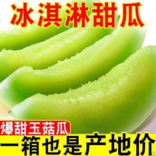 山东玉菇甜瓜冰激凌软糯当季整箱非黄河蜜瓜脆甜羊白甜瓜绿肉