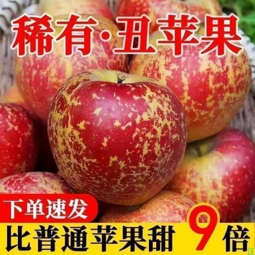 【稀有冰糖心】麻脸丑苹果正宗高山红富士苹果新鲜苹果一整箱批发
