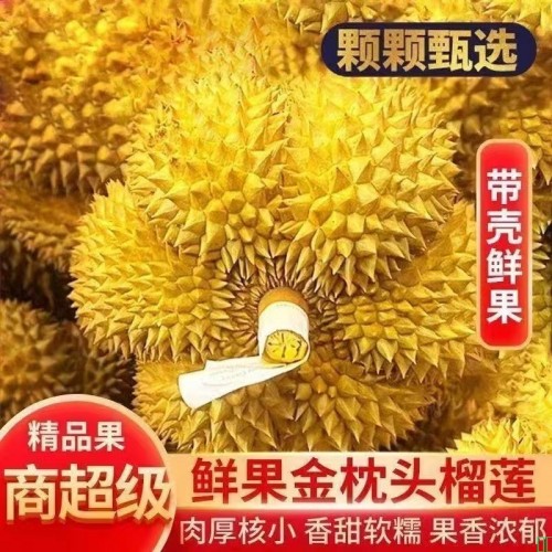 【顺丰现发】泰国金枕榴莲新鲜带壳榴莲泰国老树进口当巴掌榴莲