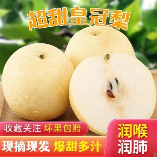 皇冠梨水果新鲜梨应季水果批发整箱花斑梨子脆甜多汁薄皮润肺酥梨