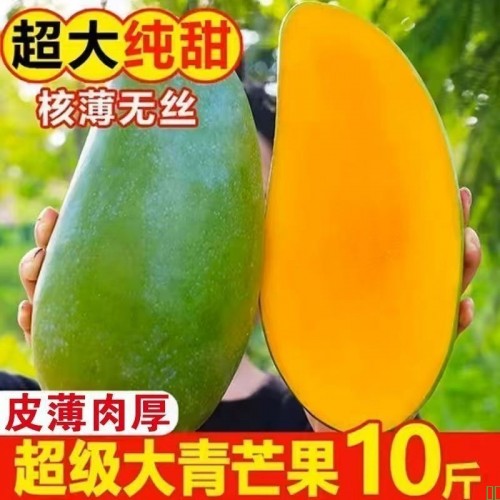 【产地直发】现货新鲜蓝莓鲜果孕妇宝宝蓝莓水果蓝梅批发一整箱
