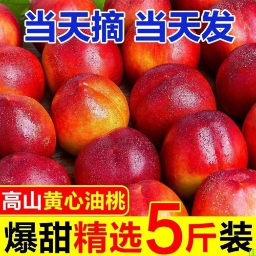 黄心油桃新鲜脆甜多汁整箱水果精选桃子大果批发当季黄心桃子油桃