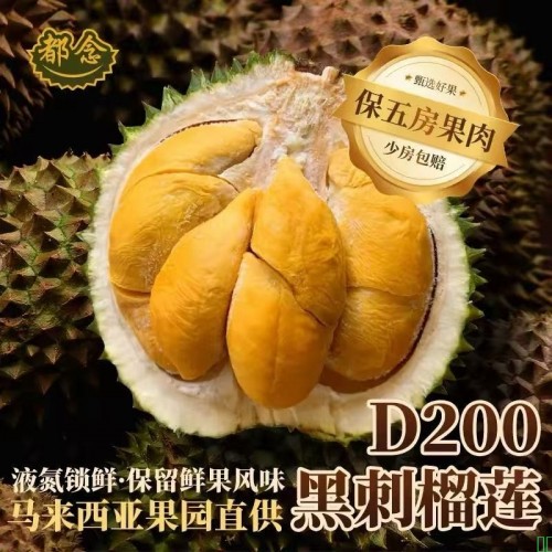 榴莲泰国进口金枕榴莲新鲜一整个带壳鲜果当应季水果巴掌榴非顺丰包邮