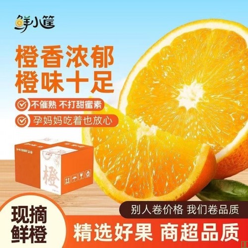 【新果上市】秭归脐橙圆红酸甜橙现摘薄皮橙子新鲜孕妇四季之橙