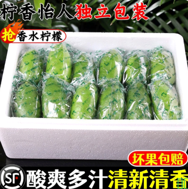 广东香水柠檬新鲜一级果应当季水果海南无籽青柠檬奶茶店专用10斤
