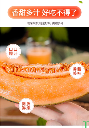 正宗新疆哈密瓜吐鲁番西州蜜25号当应季新鲜水果网纹甜瓜整箱包邮