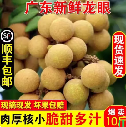 现摘茂名龙眼新鲜顺丰包邮10斤当季水果桂圆龙眼孕妇水果整箱顺丰