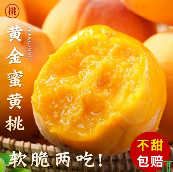 三萌果蔬正宗蒙阴黄桃【多地次日达】山东黄毛桃新鲜桃子端午节水果礼盒 5斤精品果【单果100g+】净重4.5斤