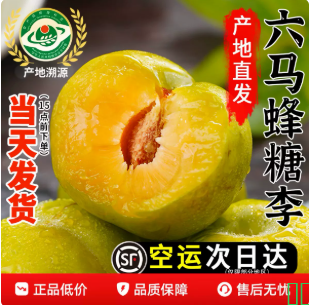 正宗贵州六马蜂糖李5斤蜂蜜李新鲜当季水果1整箱包邮现摘脱骨李子