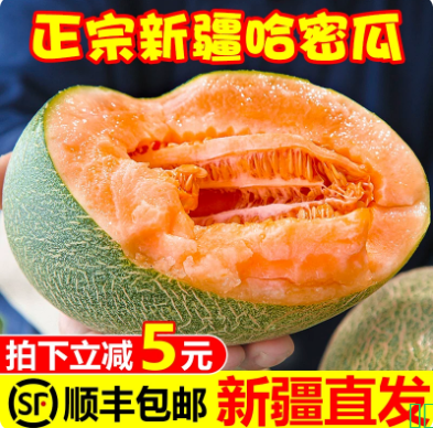 正宗新疆哈密瓜吐鲁番西州蜜25号当应季新鲜水果网纹甜瓜整箱包邮