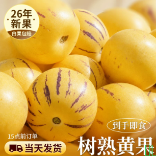 人参果新鲜水果云南石林树上熟人叁果圆果人生果5斤低糖黄肉大果