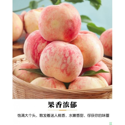 【爆甜】正宗水蜜桃新鲜脆甜毛桃子当季水果多汁桃子整箱批发彩箱