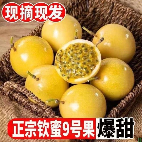 [爆甜]钦蜜9号黄金百香果新鲜黄色原浆孕妇水果应季当季鲜果彩箱
