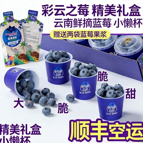 【顺丰空运】云南蓝莓礼盒【送蓝莓原浆】小蓝杯60g8杯批发