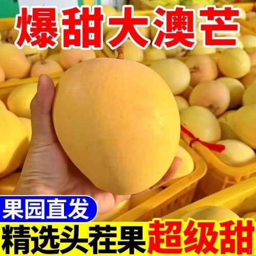 彩箱发【爆甜】正宗云南澳芒新鲜彩虹芒苹果芒当季大青芒果水果批
