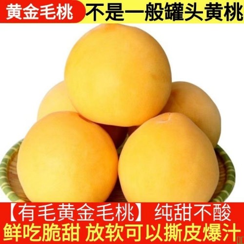 正宗山东蒙阴纯甜大黄桃应季新鲜水果当季黄金蜜脆软红心毛桃锦绣