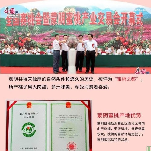 顺丰彩箱 山东蒙阴黄金蜜毛蟠桃水果新鲜应季彩虹扁盘桃子3/4.5斤