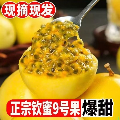 正宗钦蜜9号云南黄金百香果应季现摘孕妇当季水果百香果新鲜鲜果