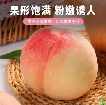 阳山水蜜桃 无锡阳山水蜜桃 5-6两 9枚 水蜜桃 水果礼盒 源头直发