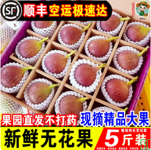 顺丰空运】新鲜云南红皮无花果精选5斤大果新鲜应当季孕妇水果