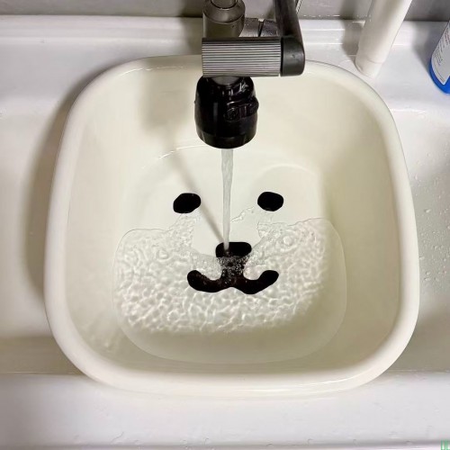 脸盆