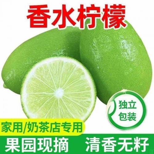 无籽香水柠檬片泡水无糖冻干青柠片散装水果冷泡茶40g