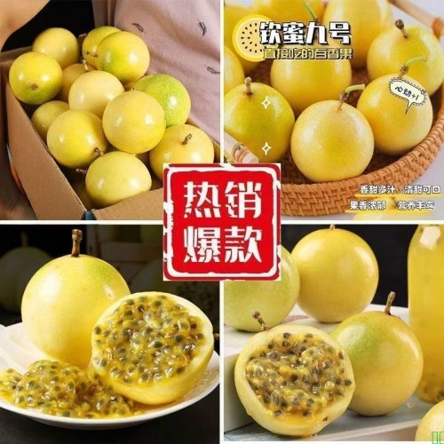 无籽香水柠檬片泡水无糖冻干青柠片散装水果冷泡茶40g