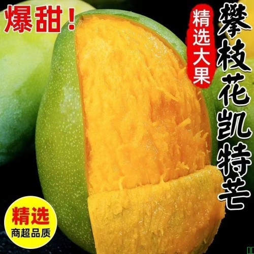 【彩箱5斤大果】正宗攀枝花凯特芒果水果新鲜批发大芒果整箱包邮