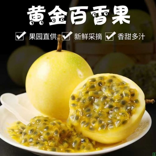 【整箱20个】正宗海南广西钦蜜九号黄金百香果新鲜孕妇应季水果