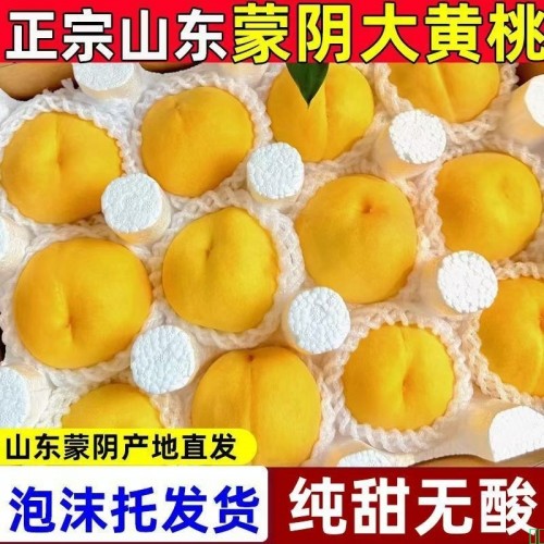 山东蒙阴纯甜黄桃正宗当季应季新鲜水果孕妇黄金蜜毛桃子锦绣整箱