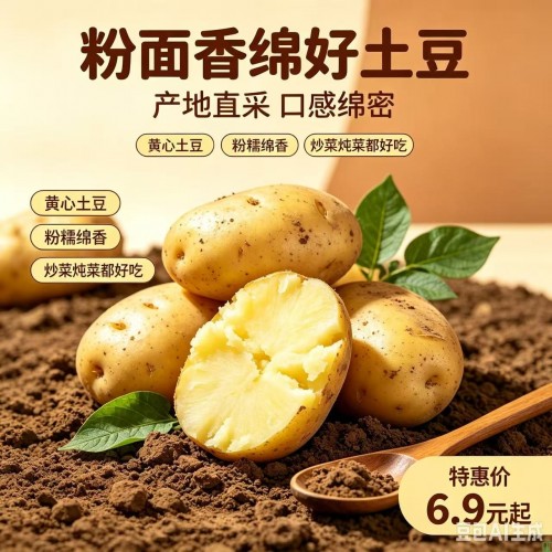 田间现挖黄心土豆，皮薄肉厚干面粉糯，炖肉、炸薯条、蒸土豆都好吃，农家自种无催熟